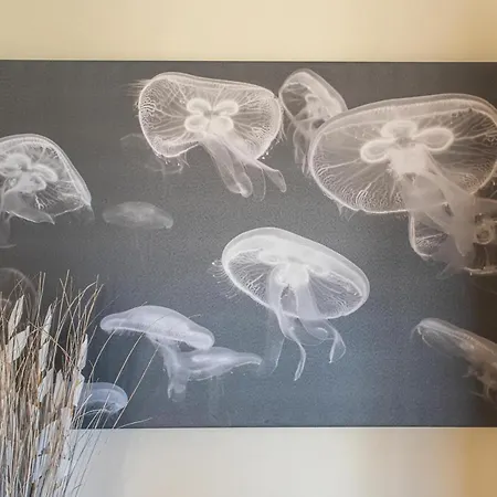 Quinta Da Amoreira By The Pool Two Apartmán